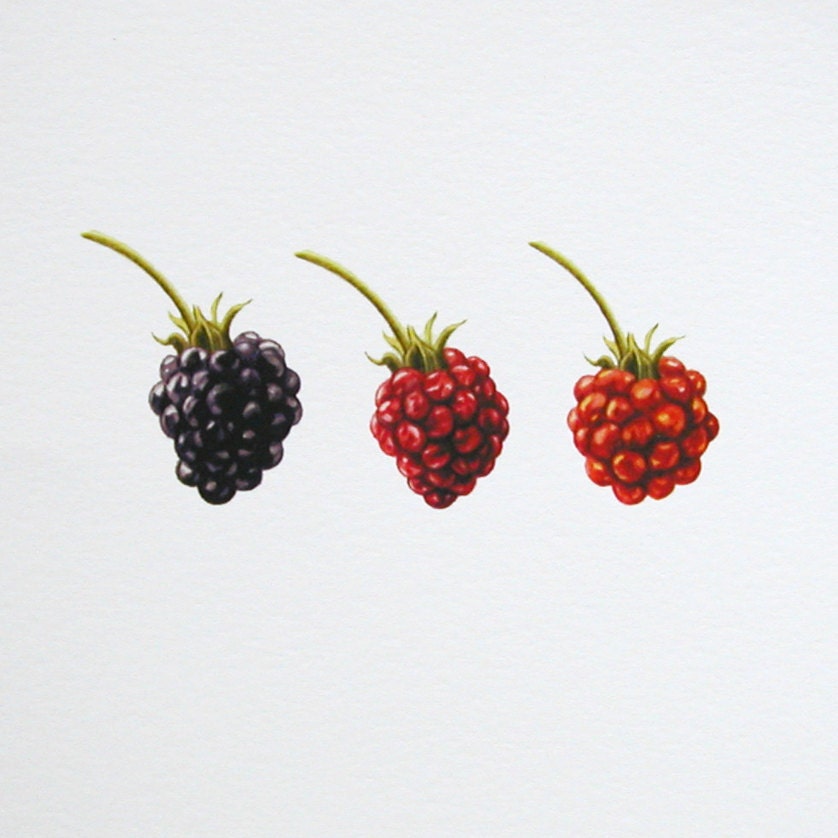 Red Fruit Berry Watercolor Reproduction Prints set of four