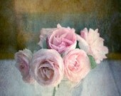 Roses with Chair