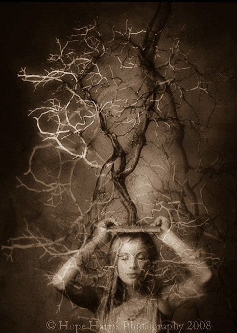 Finding One's Roots