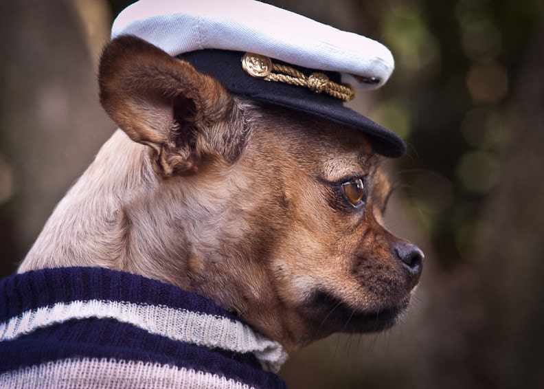The Captain 2