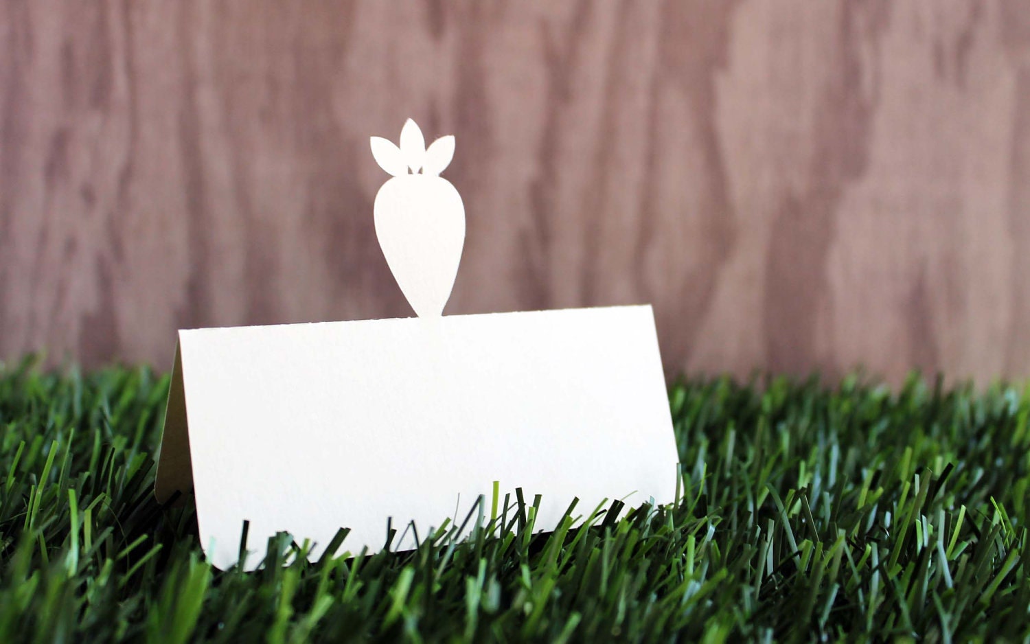 Wedding Place Cards Carrot Set of 50 Vegan Vegetarian