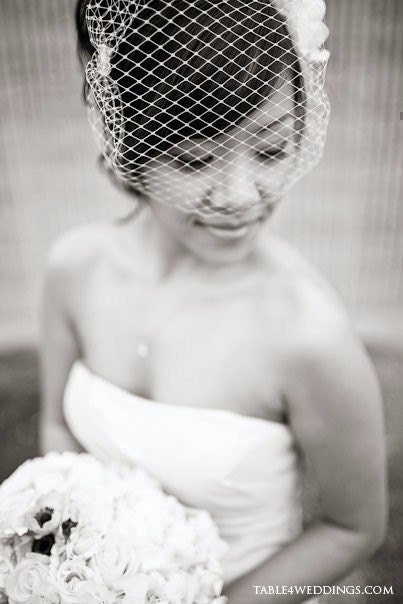 Birdcage Veil (Free U.S. Shipping, Ready to Ship) - French veil, russian veil, ivory, white, black, red