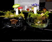SALE-Glass paperweight with mushroom or miniature potted plant-Wedding favors-Miniature TerrariumToadstool-Preserved Moss