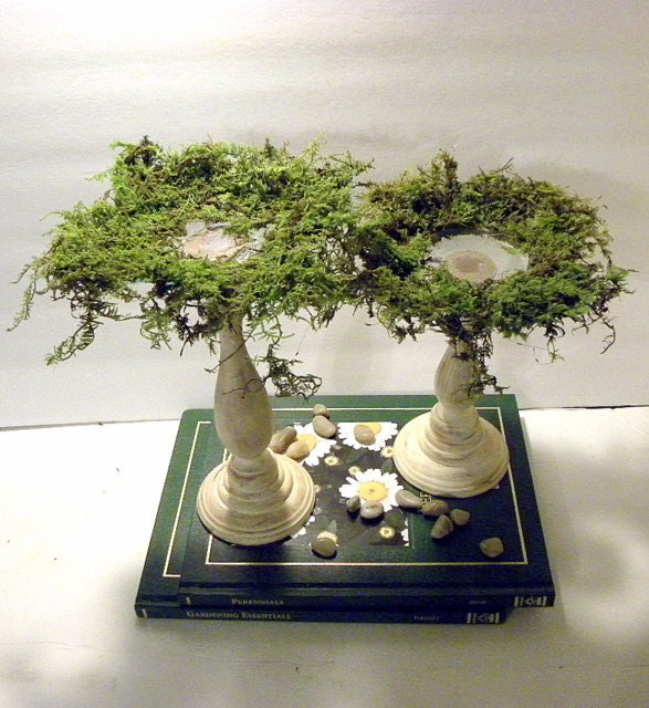 Jan custom listing for 3 Shabby Chic Moss and Glass Candle Holder