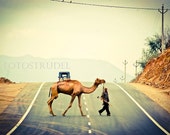 India Photograph. Camel Crossing in Rajasthan, India - 6" x 9" - fotostrudel