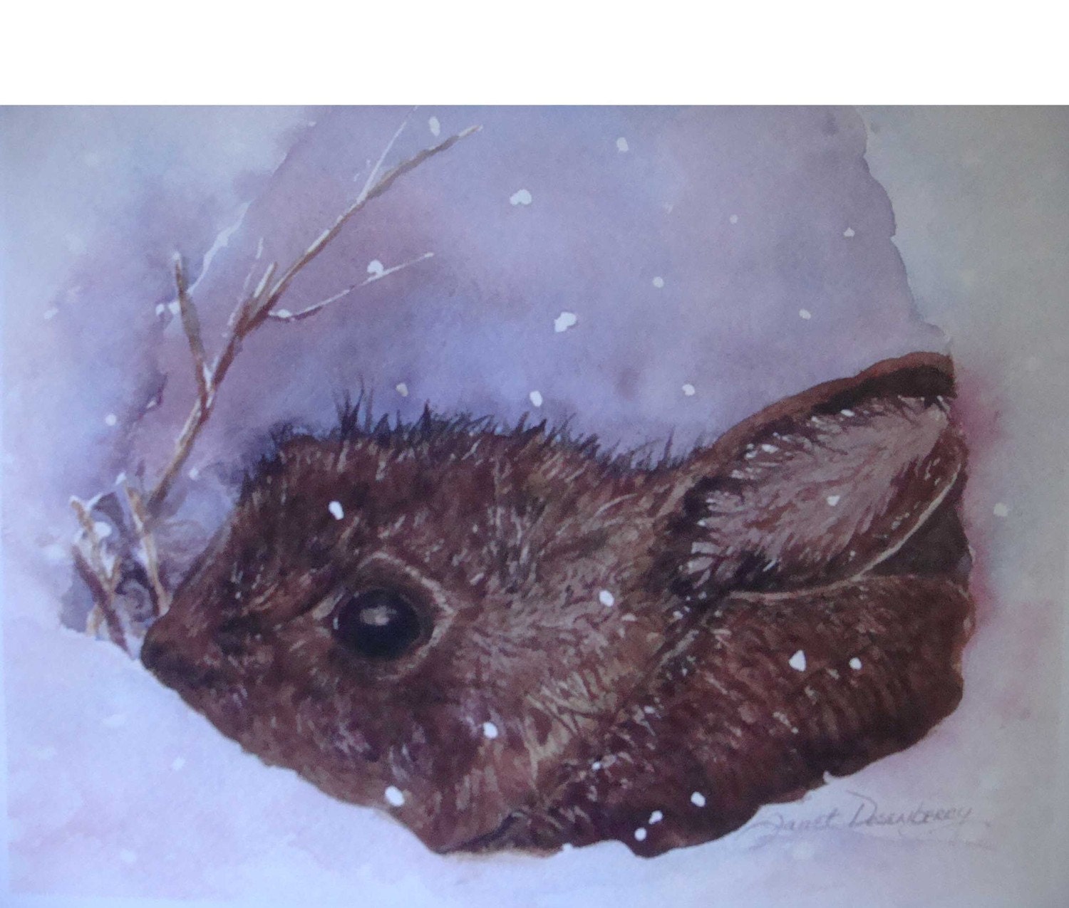 Contented Bunny Notecards