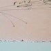 Original flower pencil drawing - Kept, crabapple blossom line drawing on neutral beige paper