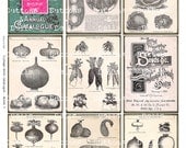 Digital Scrapbook -  Vintage Seed Catalogue Packet- Vegetables - ATC - 2.5x3.5" - Background - Paper  - Collage Sheet - SP7