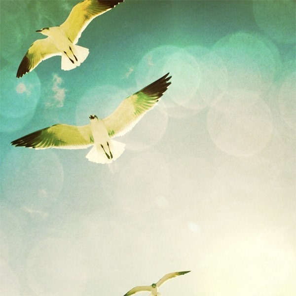 Free as a Bird - 8X8 Fine Art signed Photograph, white seagulls in flight, beach, blue sky with sun flare, inspiring