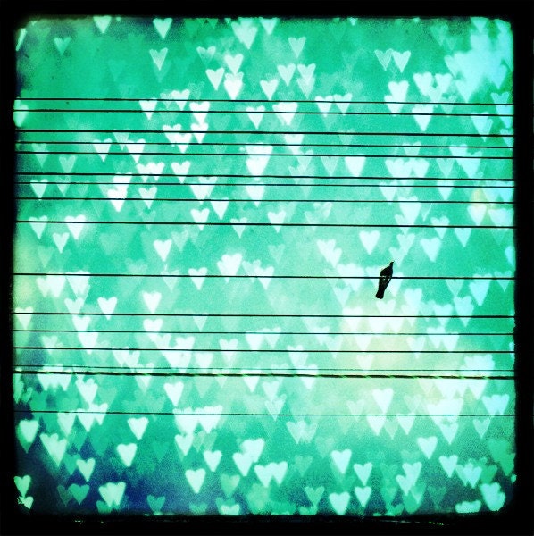 Surrounded by Love - bird sitting on a wire, teal blue sky filled with pale blue hearts, valentines