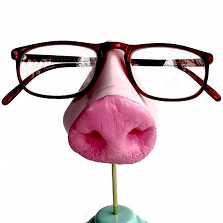 Pig Nose Eyeglass Stand, Eyewear Storage, Glasses Organizer, Sunglasses Holder, men, women