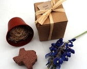 Texas Themed Wedding Favors Texas Bluebonnet Seed Party Favors Handmade in Texas