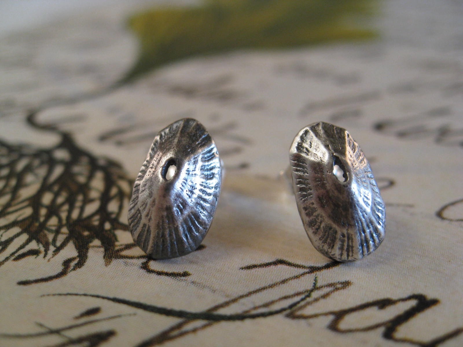 Limpet Shell Earrings