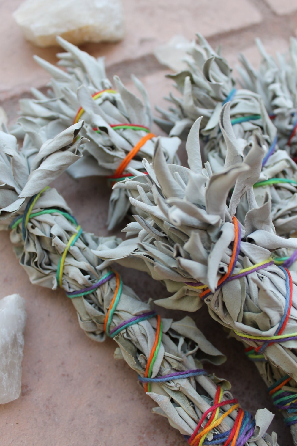 Wild Picked San Diego White Sage Rainbow Hemp