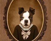 NEW  5x7 inch Hot Digital Dog Tiny Tim