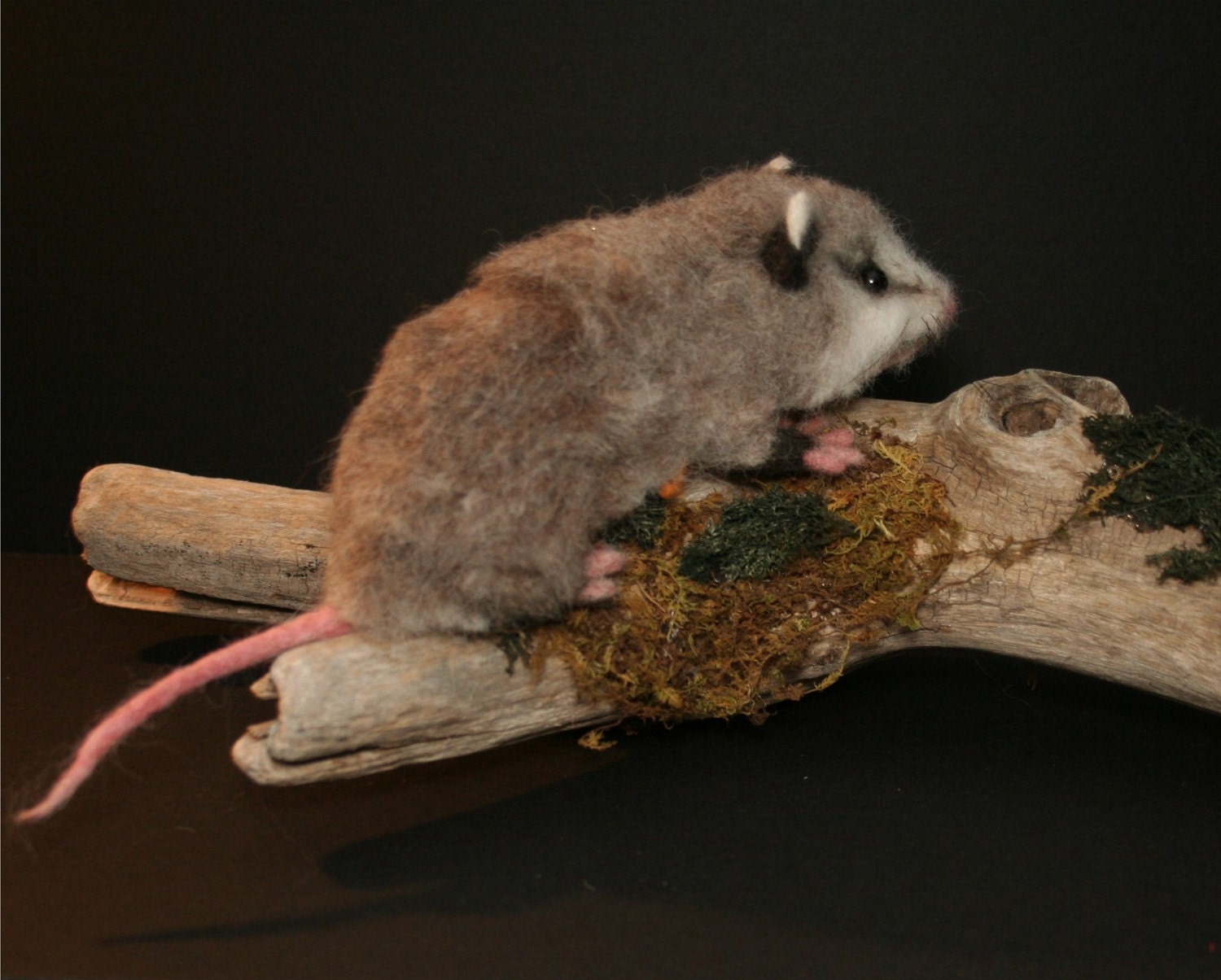 Life Size Baby Opossum OOAK Needle felted w Real wood Log