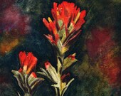 Print of Indian Paintbrush watercolor