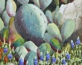 SALE 20 percent off Matted print of Texas Hill Country Cactus watercolor