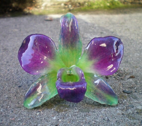 REAL Natural Magenta Purple and Green ORCHID Pin and Pendant