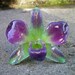 REAL Natural Magenta Purple and Green ORCHID Pin and Pendant