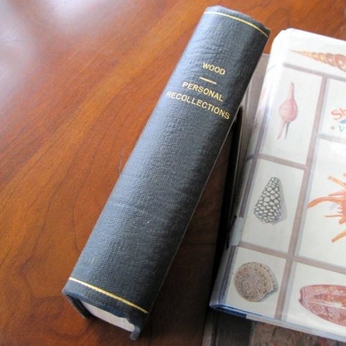 Personal Recollections of the Stage 1855  William Burke Wood