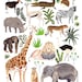 African Animals Print