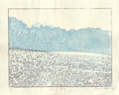 Lucy's Field