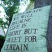 Customizable Lyric Pillow Dave Matthews -Two Step
