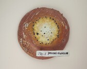 Protuberantem (brooch)
