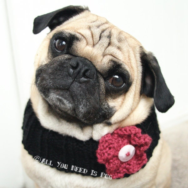 Flower Child Neck Warmer for Dogs