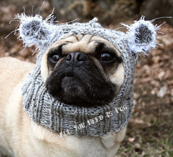 Dog Hat - Baby Koala Bear