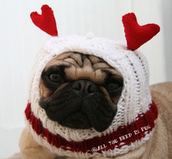 Dog Hat - All You Need Is Love Hat