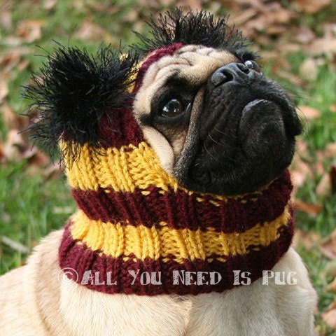 Dog Hat - Gryffindor Hat