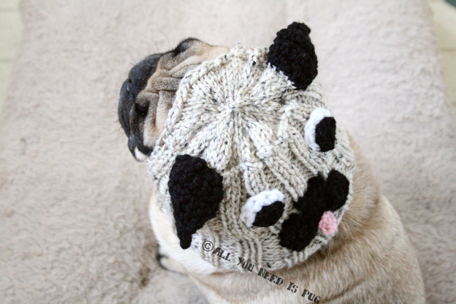 Pug Hat for Dogs