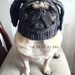 Dog Hat - Little Lady Rabbit Hat - Custom and Made to Order