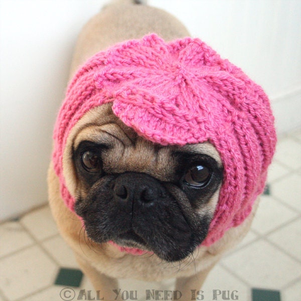 Custom Cabbie Dog Hat