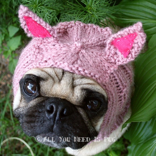 Dog Hat - Piglet Hat