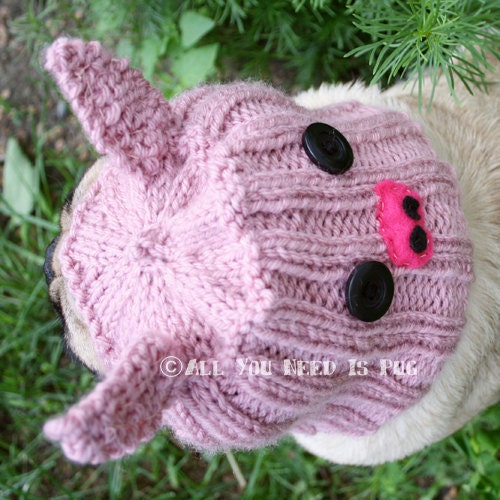 Dog Hat - Piglet Hat