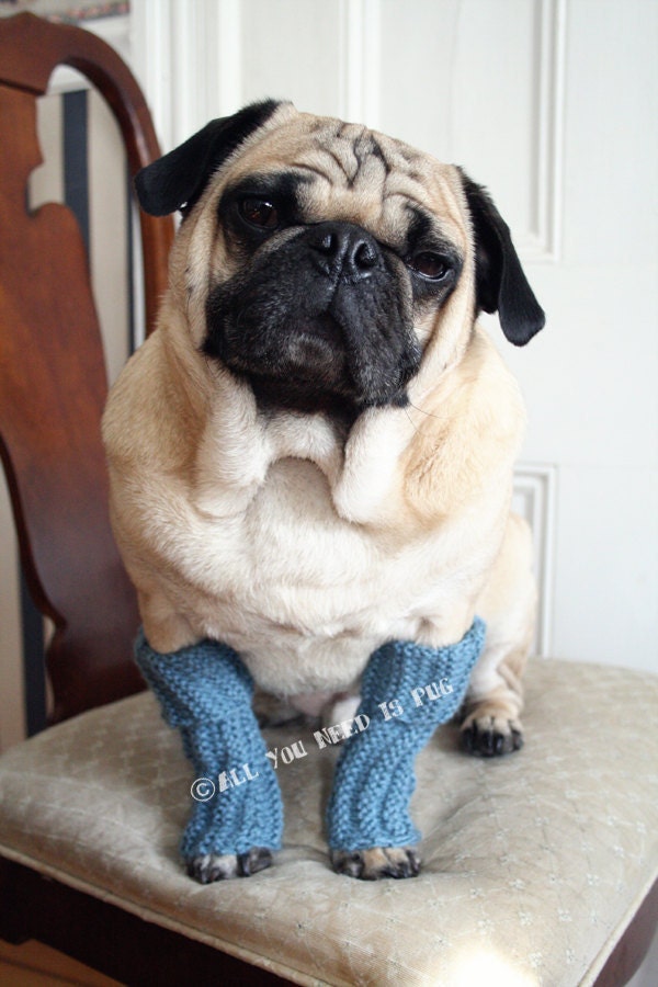 Snuggly Dog Leg Warmers