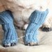 Snuggly Dog Leg Warmers