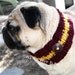 Gryffindor Dog Neck Warmer
