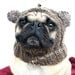 Dog Hat - Sock Monkey Hat