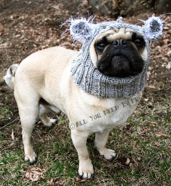 Dog Hat - Baby Koala Bear