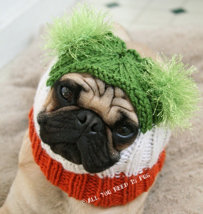 Dog Hat - Irish Pride Hat