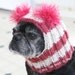 Dog Hat - Custom Snuggly Hat - The Original Pug Hat