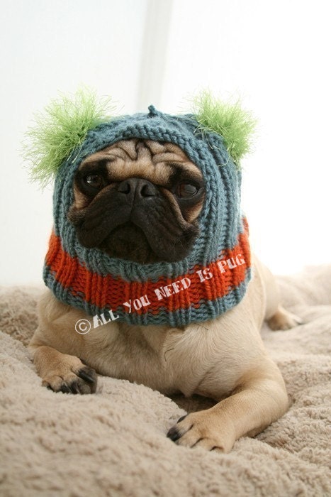 Dog Hat - Custom Snuggly Hat - The Original Pug Hat