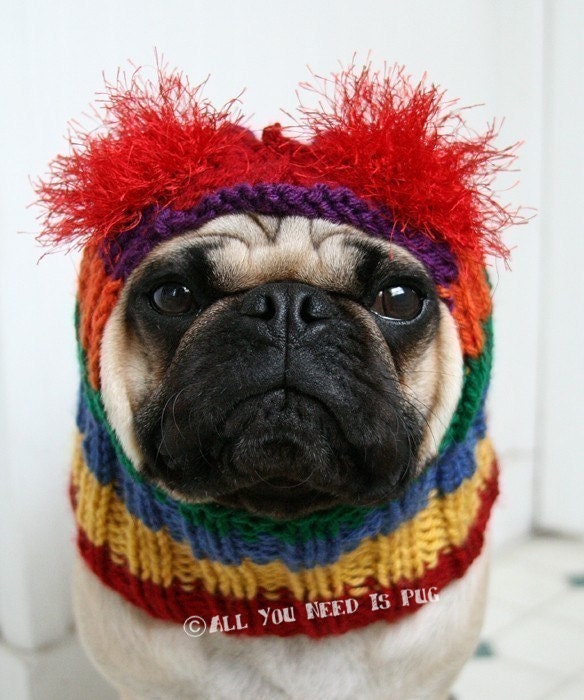 Dog Hat - Rainbow Bright Hat - The Original Pug Hat