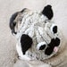 Pug Hat for Dogs