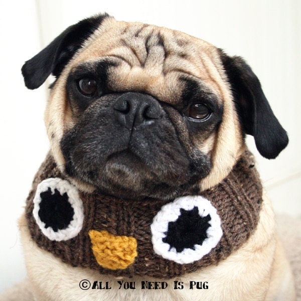 Owl Knit Dog Collar