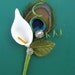 Peacock and Calla Lily Boutonniere